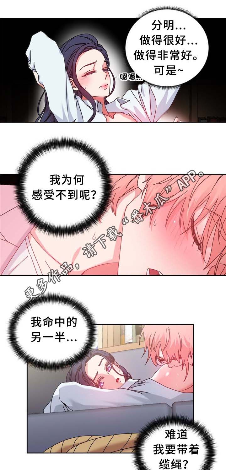 《缆绳》漫画最新章节第68章命中的安排免费下拉式在线观看章节第【3】张图片