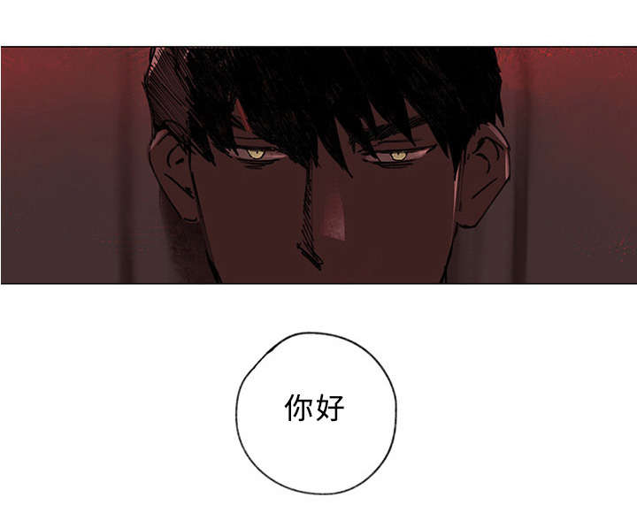 《守护之证》漫画最新章节第37章大结局免费下拉式在线观看章节第【10】张图片