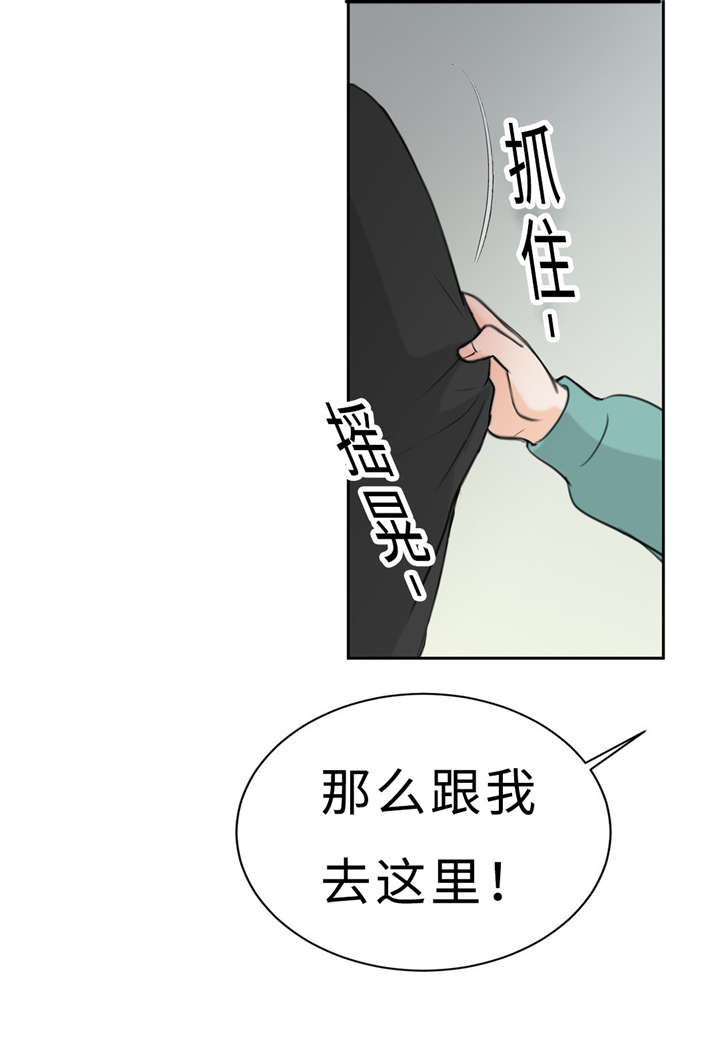 《相似形态》漫画最新章节第16章配合免费下拉式在线观看章节第【4】张图片