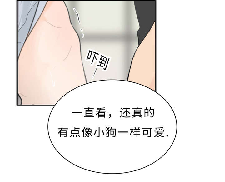 《相似形态》漫画最新章节第24章变态免费下拉式在线观看章节第【27】张图片