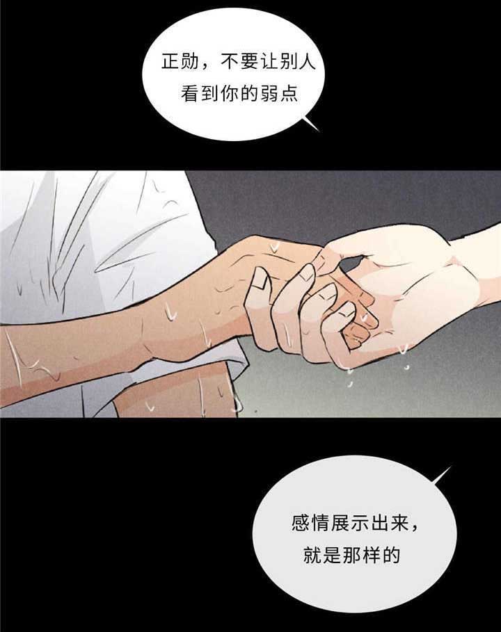 《相似形态》漫画最新章节第44章不欢而散免费下拉式在线观看章节第【17】张图片