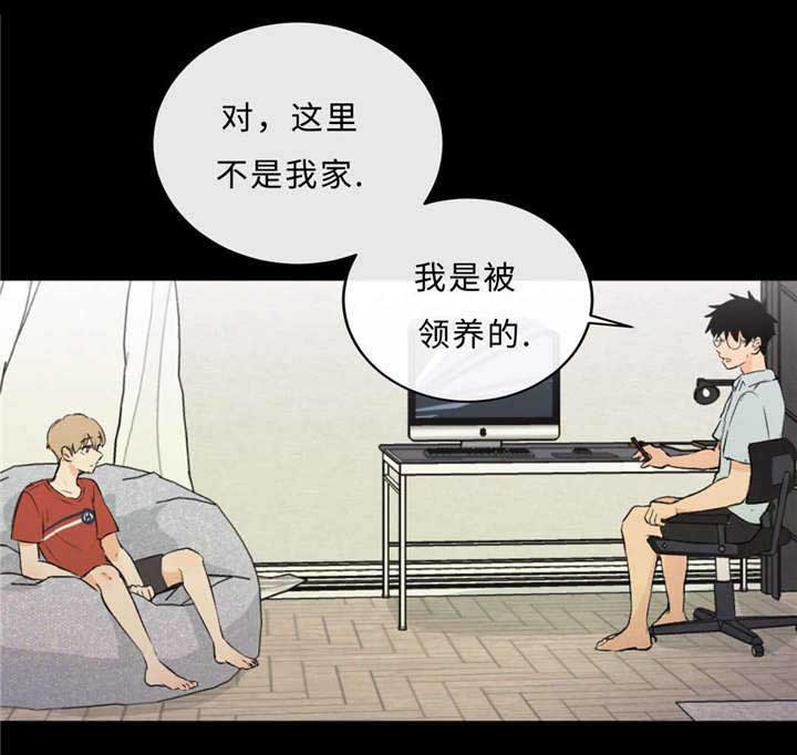 《相似形态》漫画最新章节第50章过往免费下拉式在线观看章节第【16】张图片