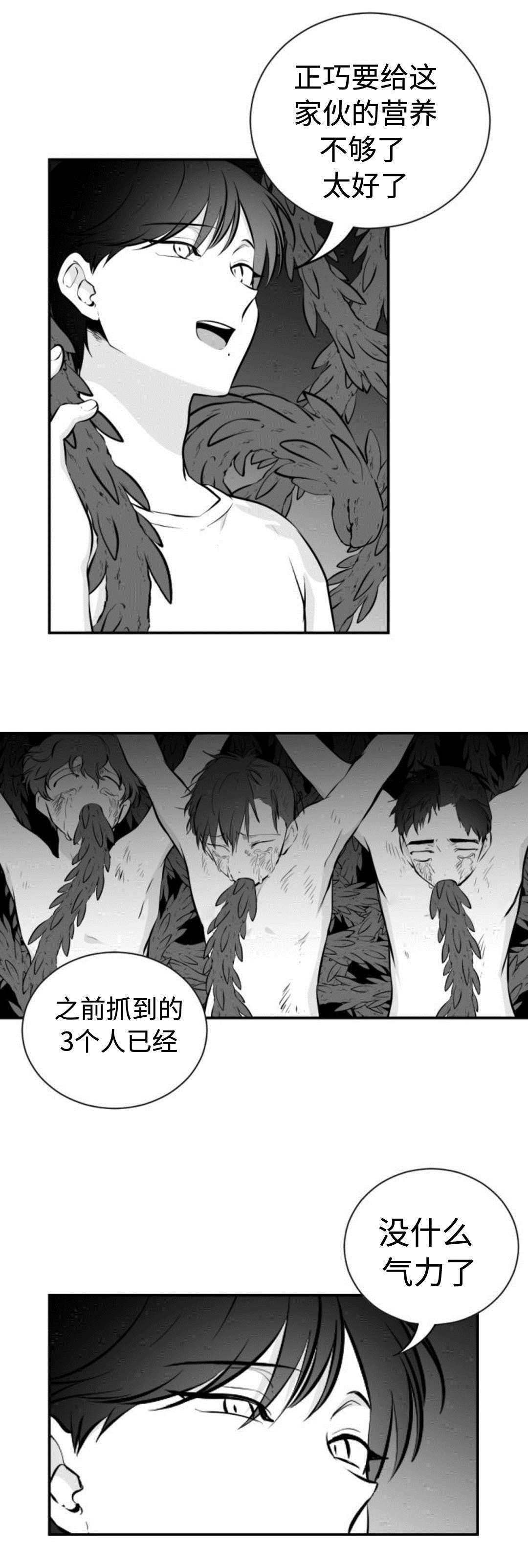 《爱书》漫画最新章节第41章精神失常免费下拉式在线观看章节第【7】张图片