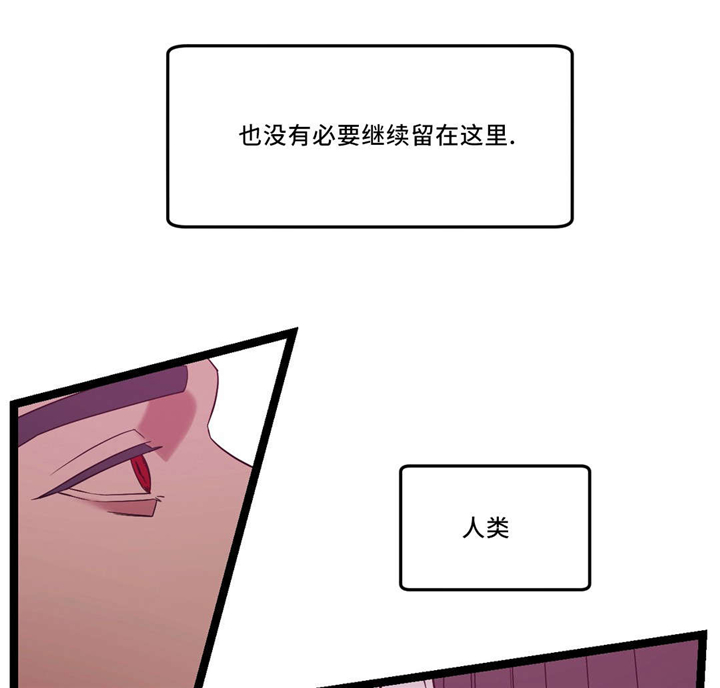 《血肉与灵魂》漫画最新章节第34章傻傻的免费下拉式在线观看章节第【12】张图片