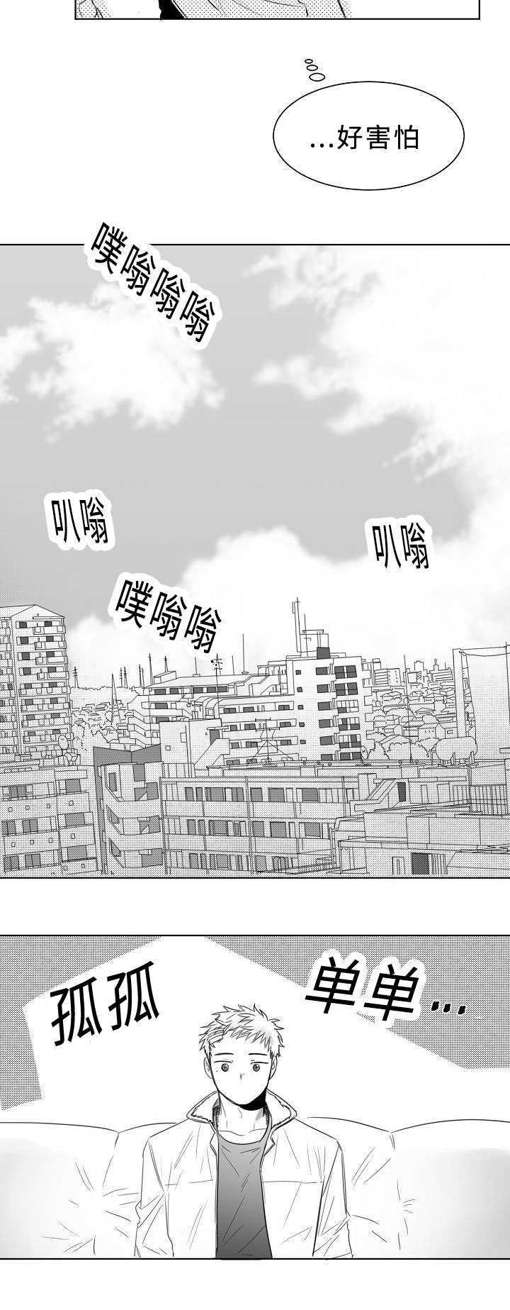 《柳云鹤》漫画最新章节第7章报告书免费下拉式在线观看章节第【8】张图片