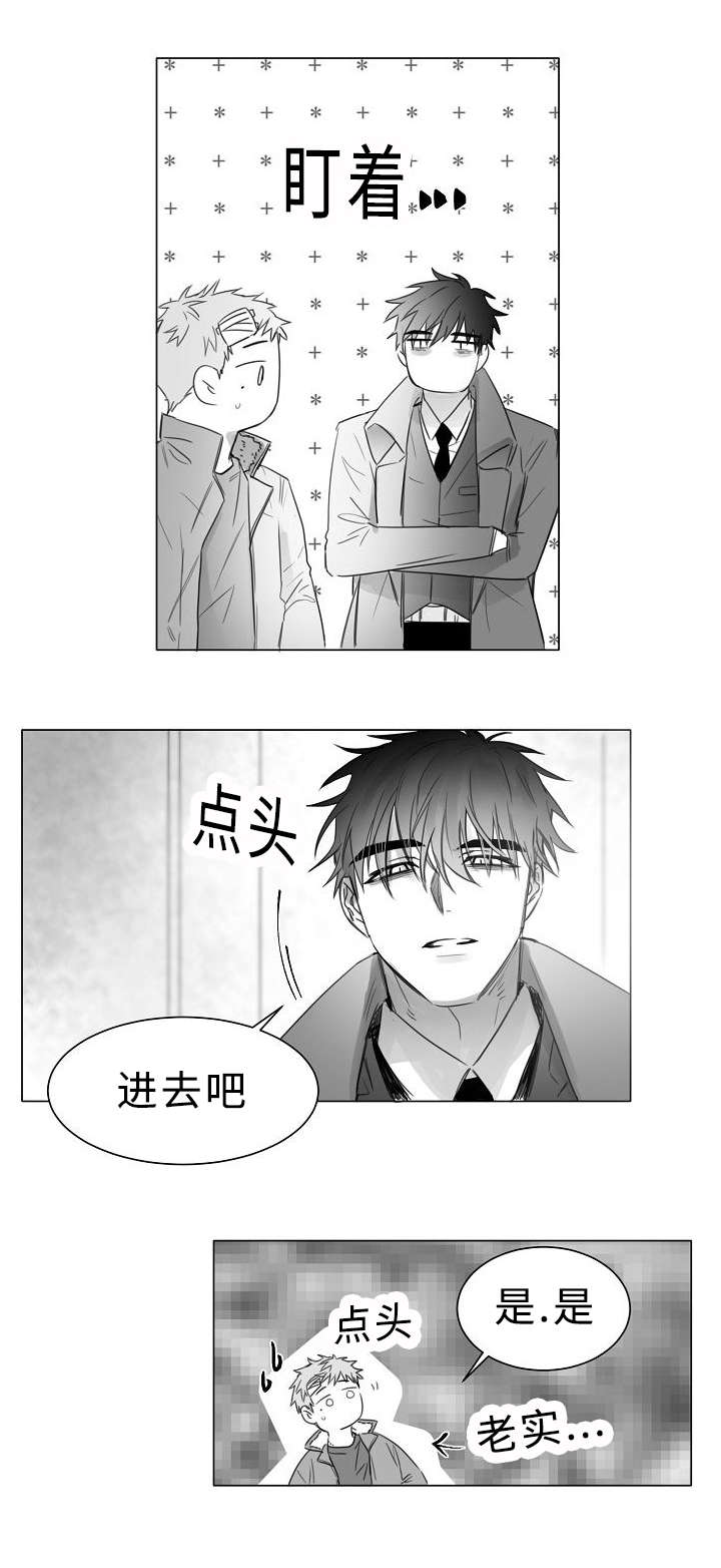 《柳云鹤》漫画最新章节第11章护着免费下拉式在线观看章节第【5】张图片