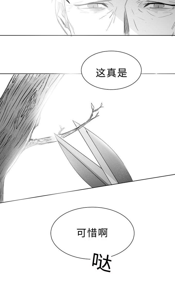 《柳云鹤》漫画最新章节第11章护着免费下拉式在线观看章节第【7】张图片