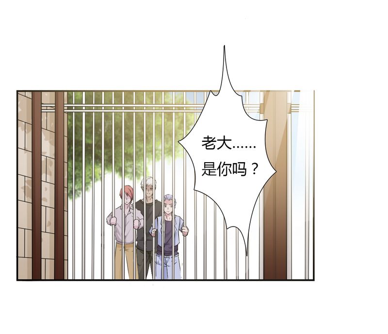 《致命宠妻：总裁纳命来！》漫画最新章节第25章莫小黛怀孕免费下拉式在线观看章节第【4】张图片