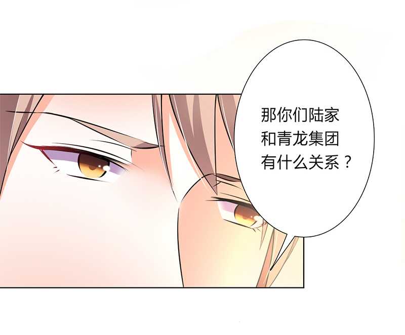 《致命宠妻：总裁纳命来！》漫画最新章节第47章陆氏的前后身世免费下拉式在线观看章节第【17】张图片