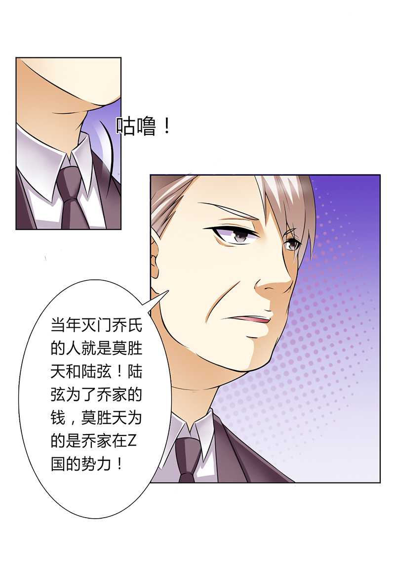 《致命宠妻：总裁纳命来！》漫画最新章节第47章陆氏的前后身世免费下拉式在线观看章节第【2】张图片