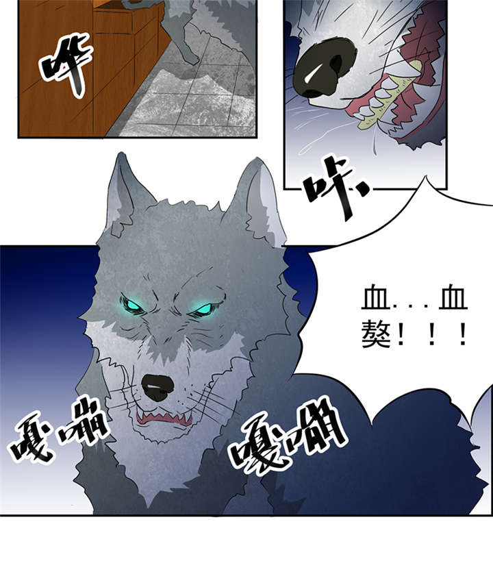 《爱上阴间小娇妻》漫画最新章节第13章有条狗免费下拉式在线观看章节第【21】张图片