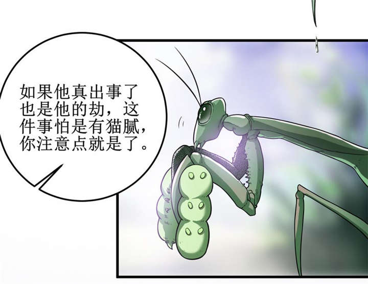 《我是捡金师》漫画最新章节第31章修鬼道免费下拉式在线观看章节第【6】张图片