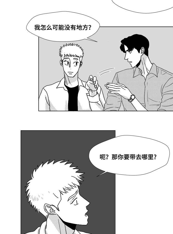 《听牌》漫画最新章节第27章查尔家免费下拉式在线观看章节第【3】张图片