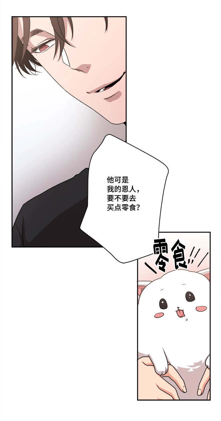 《低级推销》漫画最新章节第48章球球的助攻(完结撒花)免费下拉式在线观看章节第【4】张图片