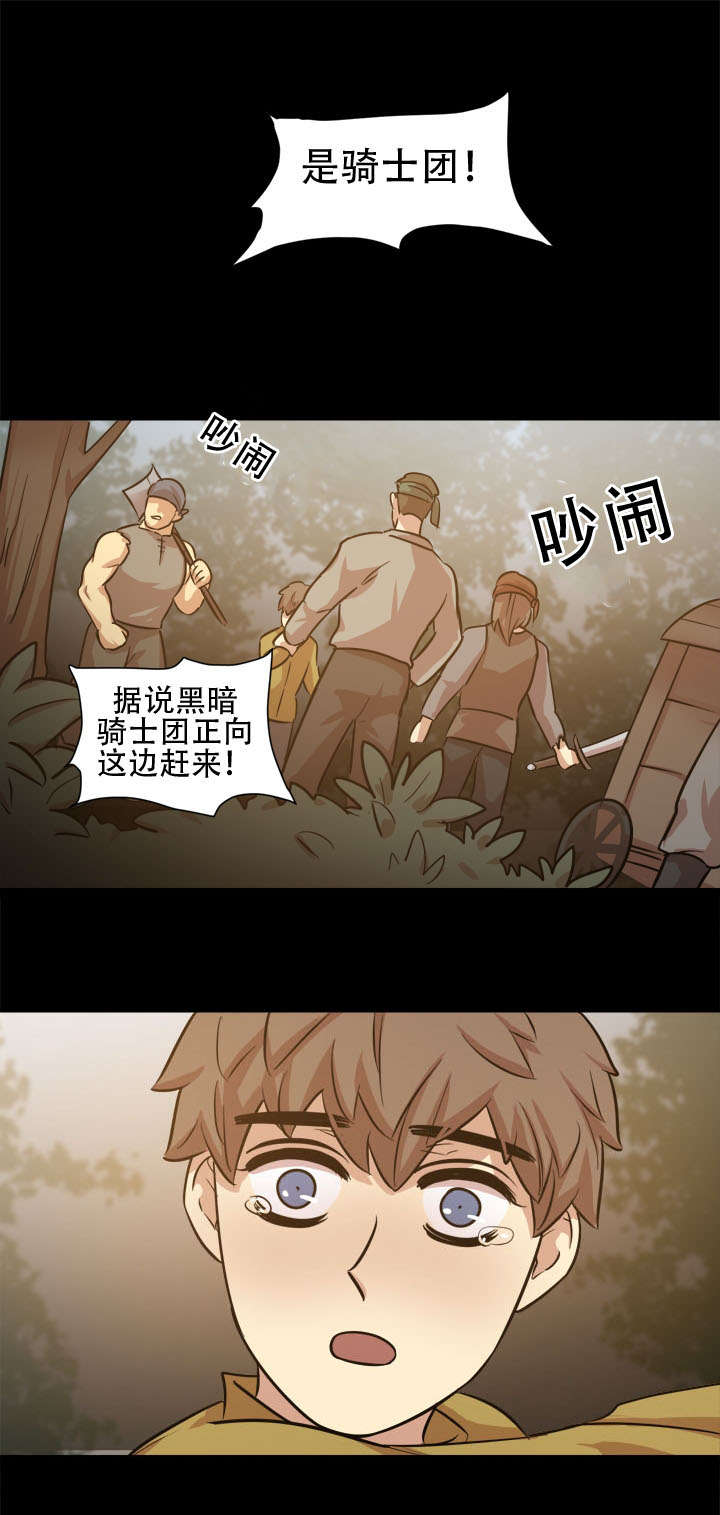 《通敌》漫画最新章节第20章骑士团免费下拉式在线观看章节第【1】张图片