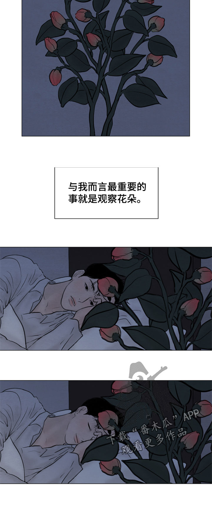 《夜惊梦魇》漫画最新章节第108章【第二季】花朵绽放免费下拉式在线观看章节第【4】张图片