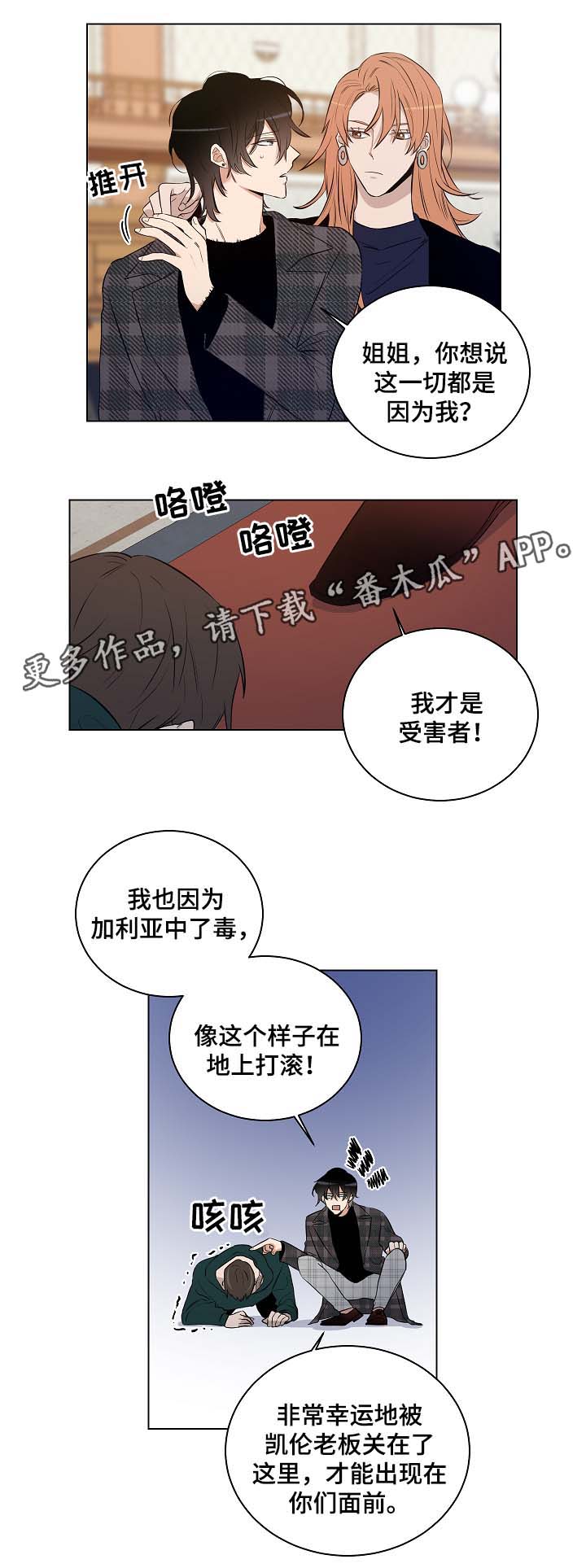 《连环圈套》漫画最新章节第30章杀气腾腾免费下拉式在线观看章节第【11】张图片