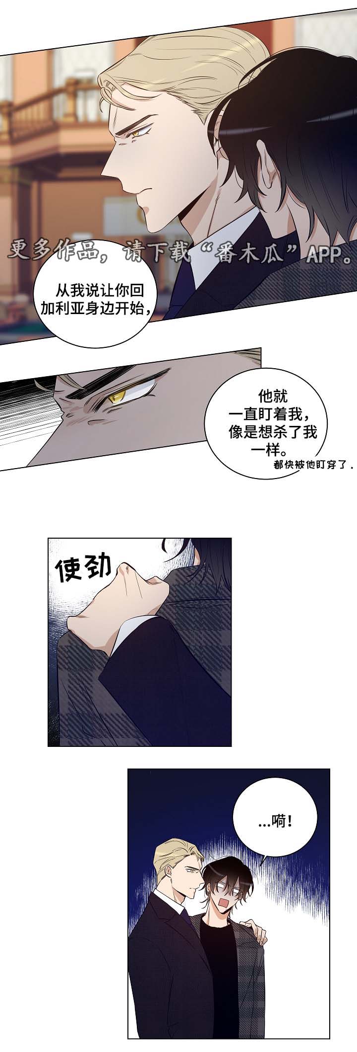 《连环圈套》漫画最新章节第30章杀气腾腾免费下拉式在线观看章节第【5】张图片