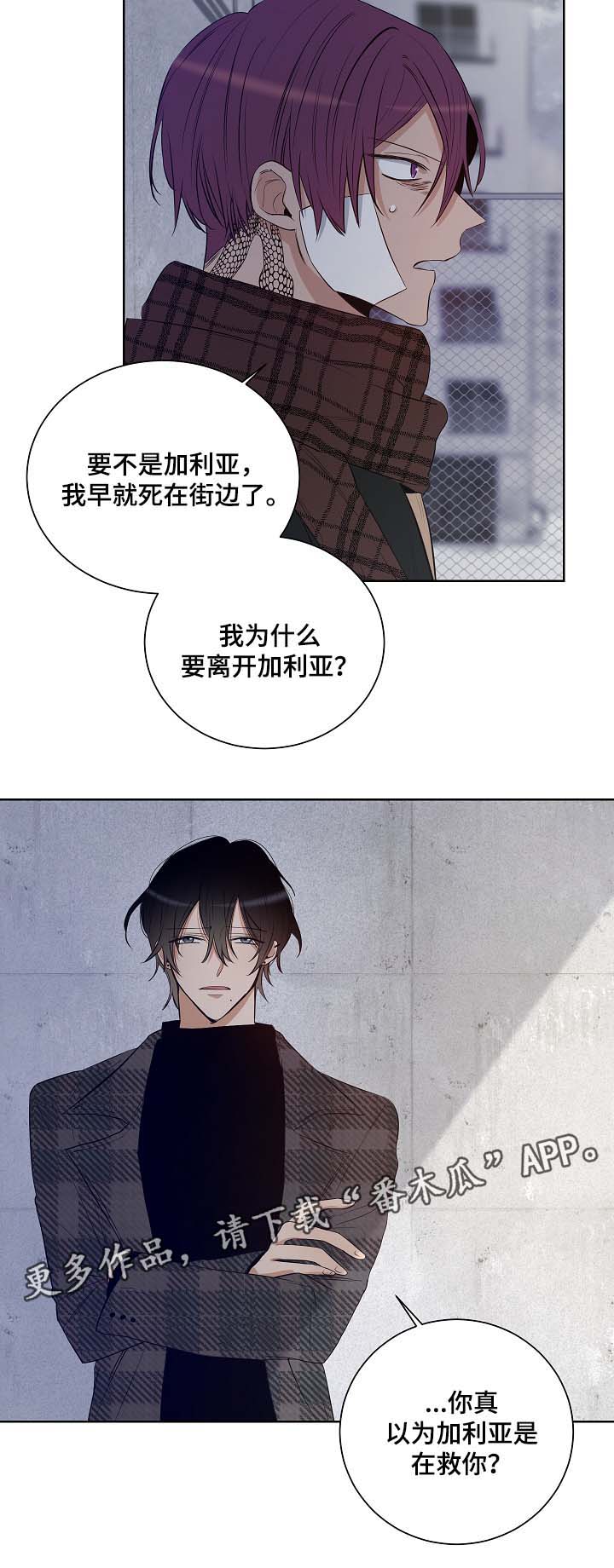 《连环圈套》漫画最新章节第35章别再回来免费下拉式在线观看章节第【8】张图片