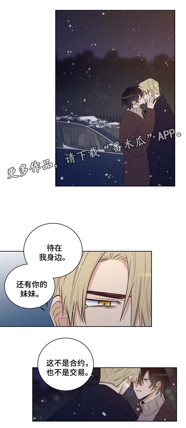 《连环圈套》漫画最新章节第55章陷阱都市（完结）免费下拉式在线观看章节第【9】张图片