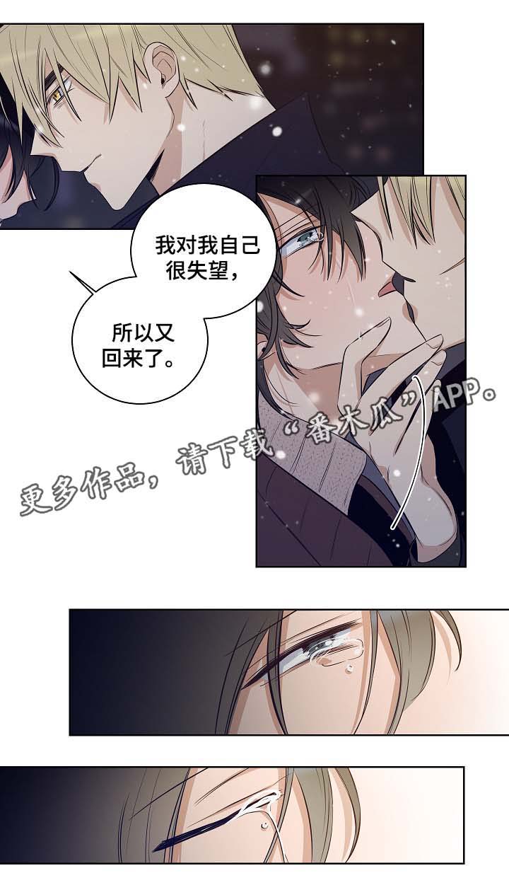 《连环圈套》漫画最新章节第55章陷阱都市（完结）免费下拉式在线观看章节第【10】张图片