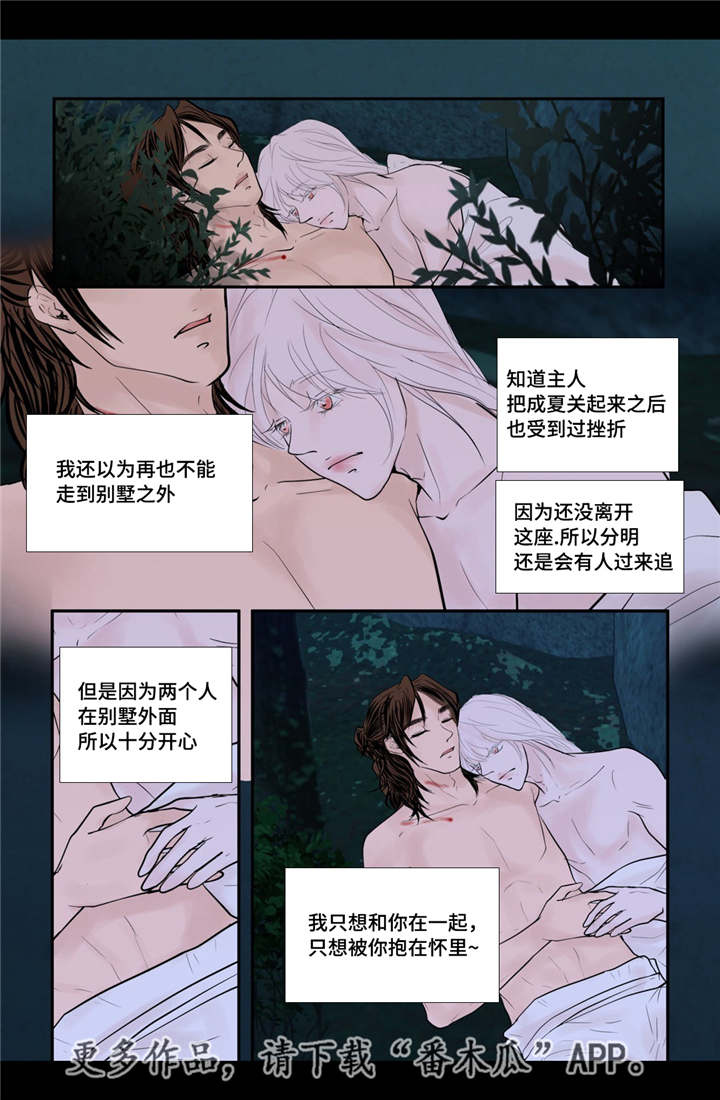 《飞天之血》漫画最新章节第47章我的愿望免费下拉式在线观看章节第【12】张图片