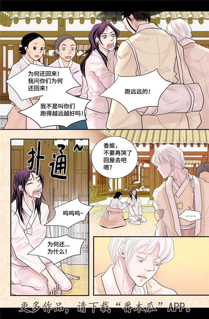 《飞天之血》漫画最新章节第35章带来爱情免费下拉式在线观看章节第【6】张图片