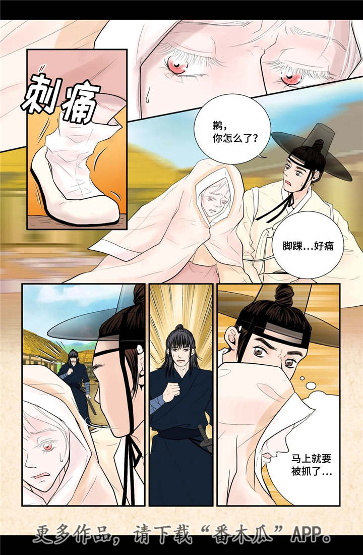 《飞天之血》漫画最新章节第35章带来爱情免费下拉式在线观看章节第【15】张图片