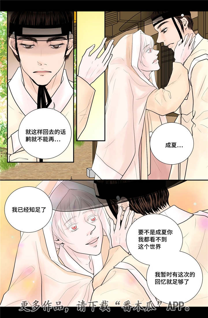 《飞天之血》漫画最新章节第35章带来爱情免费下拉式在线观看章节第【8】张图片