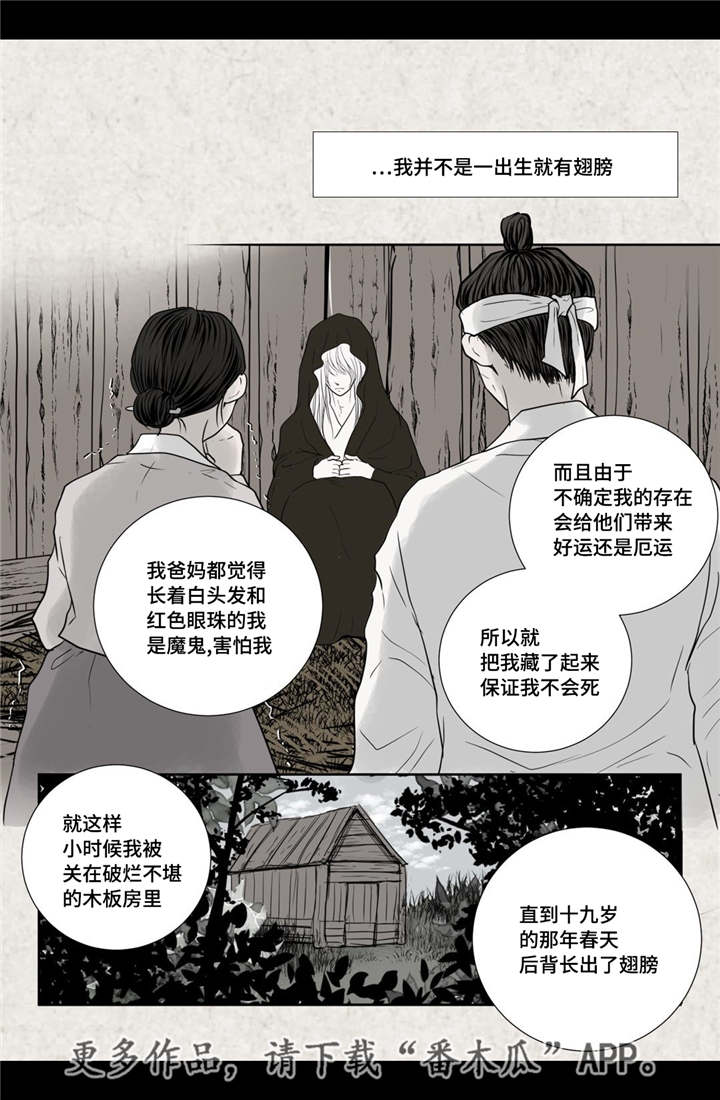 《飞天之血》漫画最新章节第17章令人震惊免费下拉式在线观看章节第【2】张图片