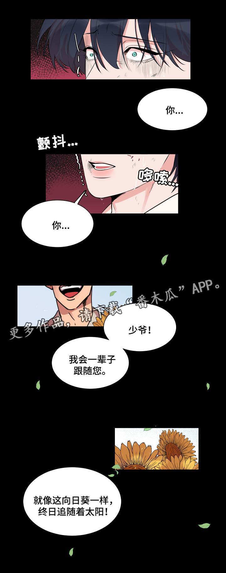 《人鱼的泪水》漫画最新章节第58章悲剧免费下拉式在线观看章节第【13】张图片