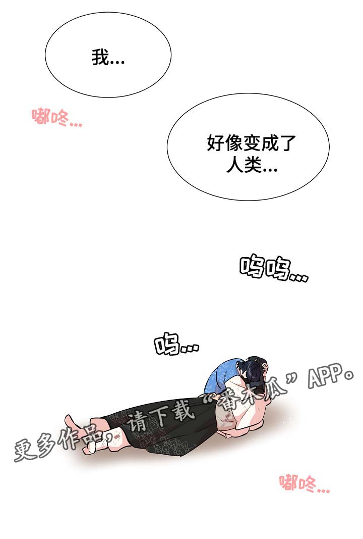 《人鱼的泪水》漫画最新章节第61章变回人类免费下拉式在线观看章节第【9】张图片