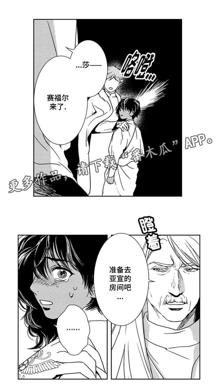 《真假术师》漫画最新章节第15章我喜欢你免费下拉式在线观看章节第【1】张图片