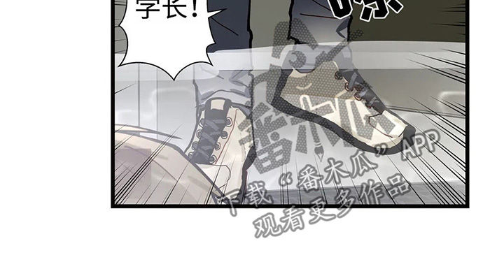 《不专》漫画最新章节第41章一个一个去了解免费下拉式在线观看章节第【7】张图片