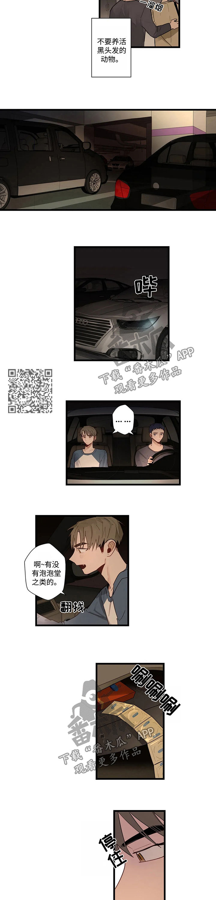 《不专》漫画最新章节第48章为什么会这样免费下拉式在线观看章节第【5】张图片