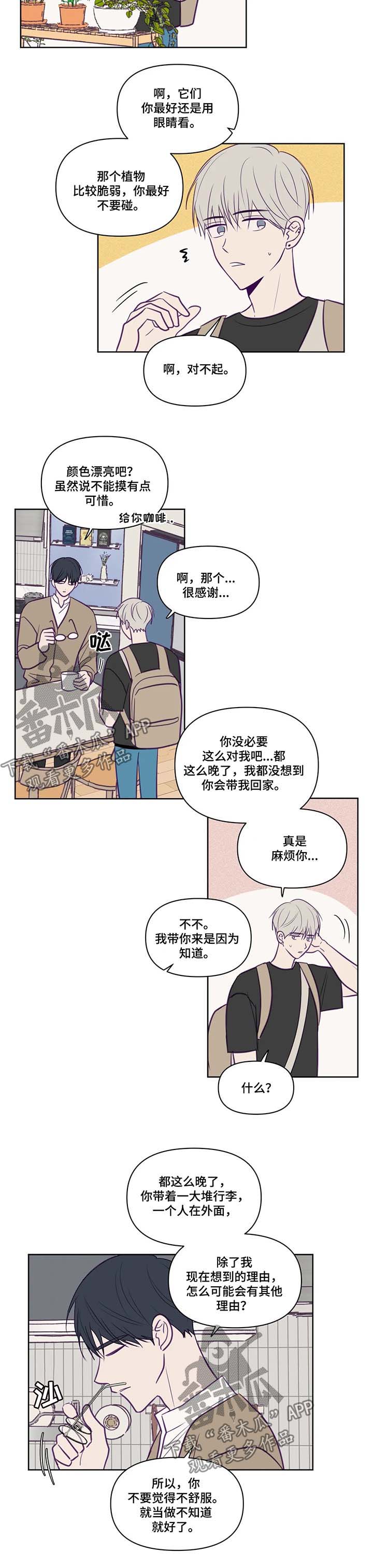 《秘密照片》漫画最新章节第80章带回家免费下拉式在线观看章节第【3】张图片