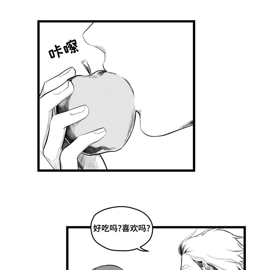 《巫师与王子》漫画最新章节第93章终章免费下拉式在线观看章节第【21】张图片