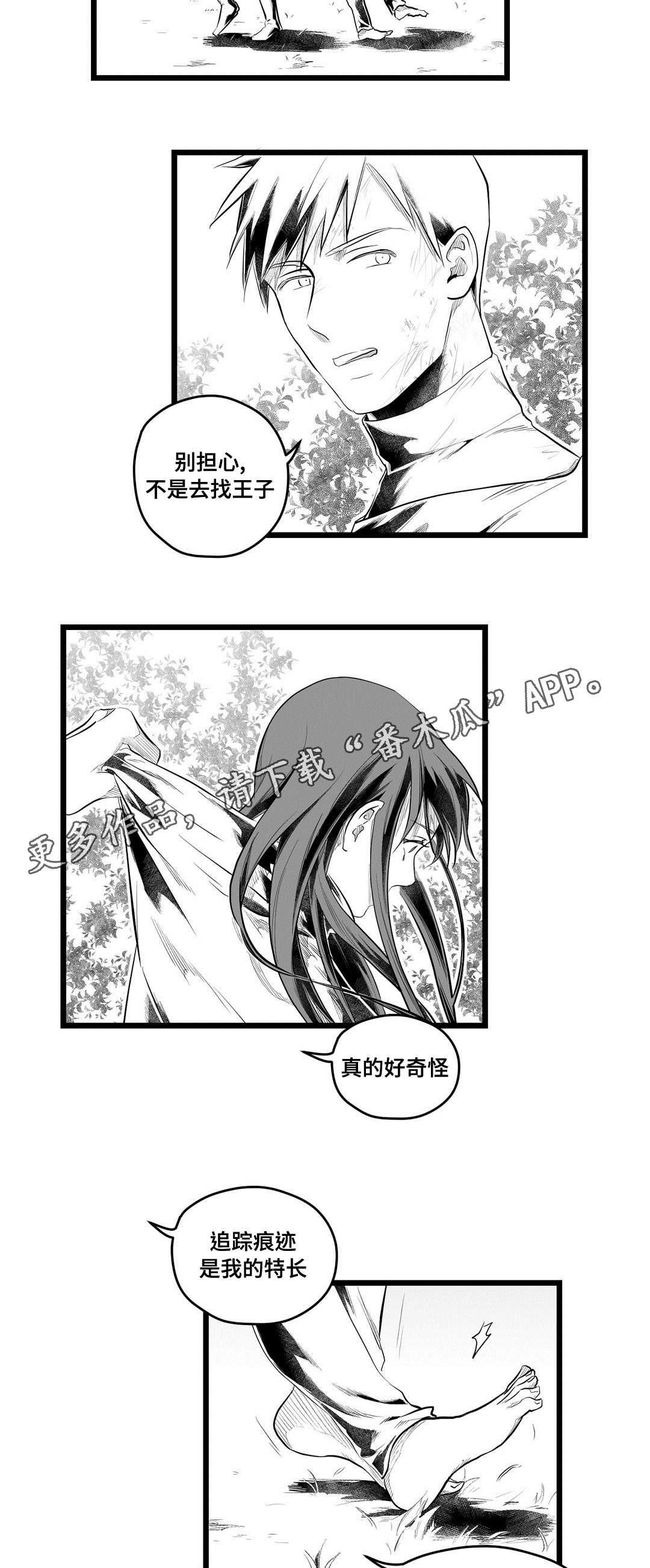 《巫师与王子》漫画最新章节第87章抓住免费下拉式在线观看章节第【10】张图片