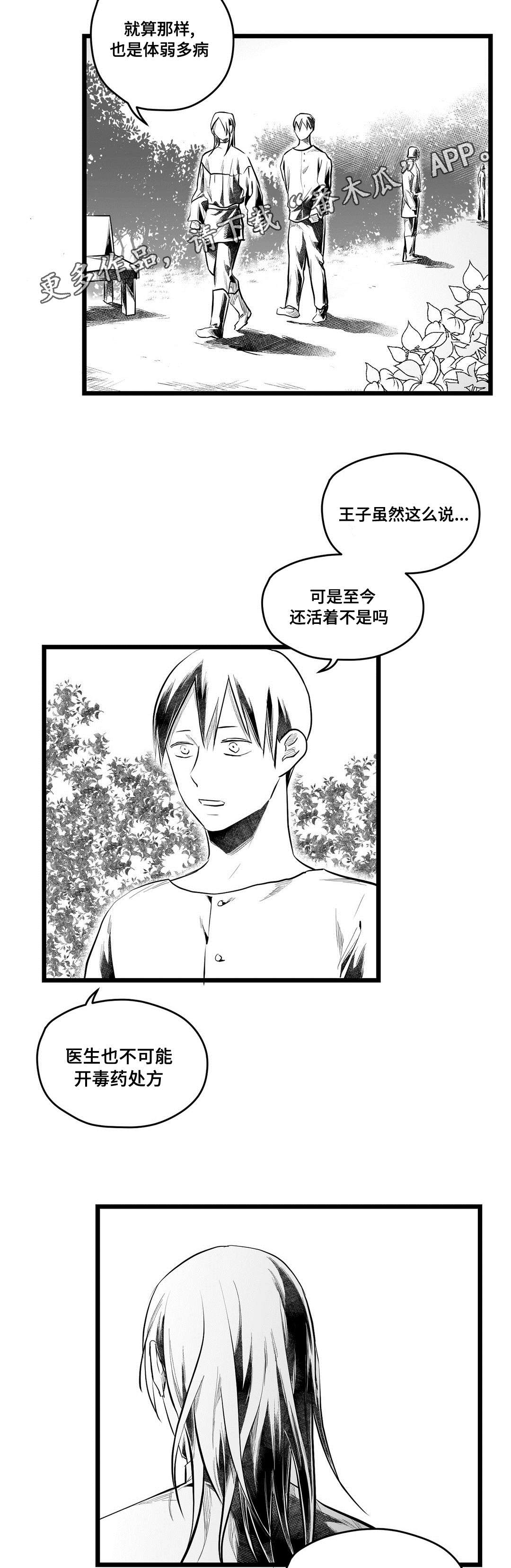 《巫师与王子》漫画最新章节第70章关心免费下拉式在线观看章节第【9】张图片