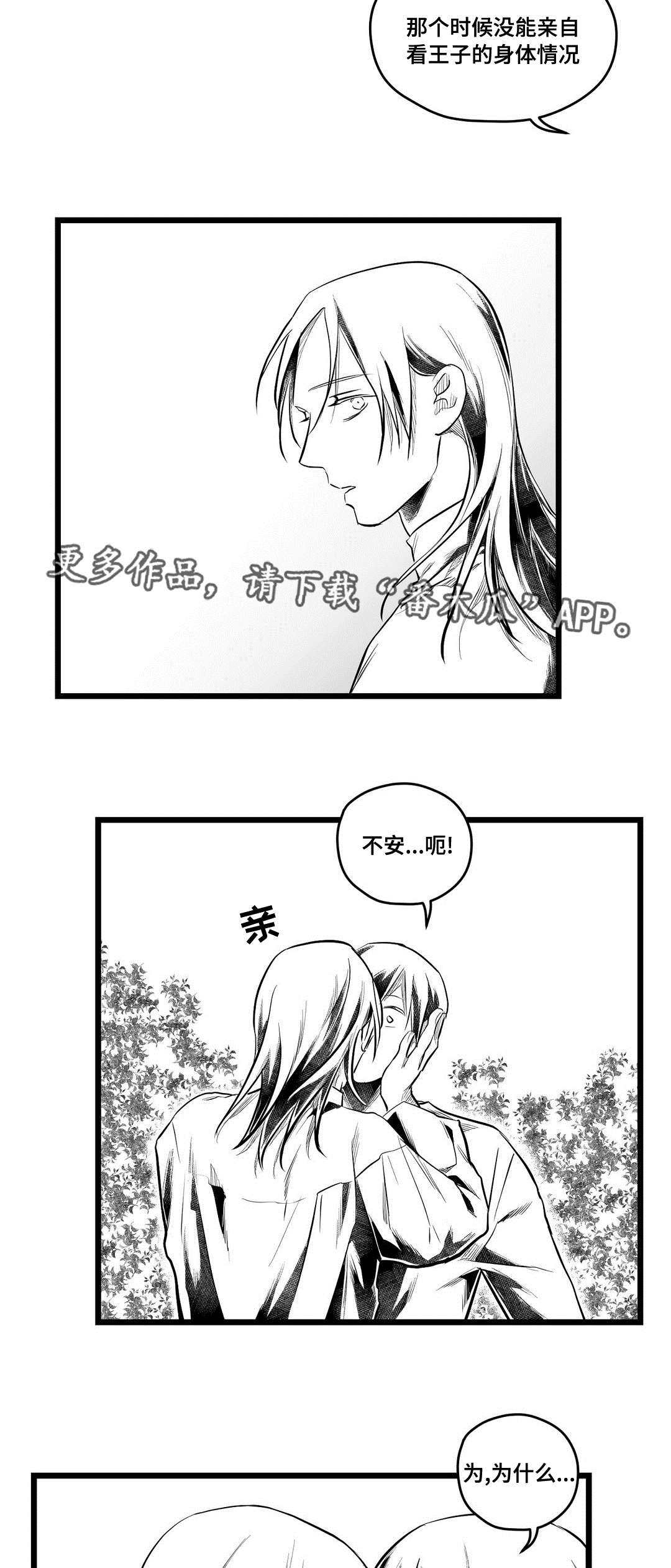 《巫师与王子》漫画最新章节第70章关心免费下拉式在线观看章节第【8】张图片