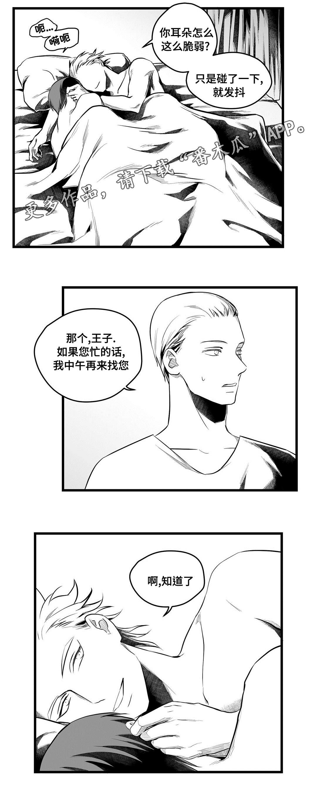 《巫师与王子》漫画最新章节第53章无法理解免费下拉式在线观看章节第【20】张图片