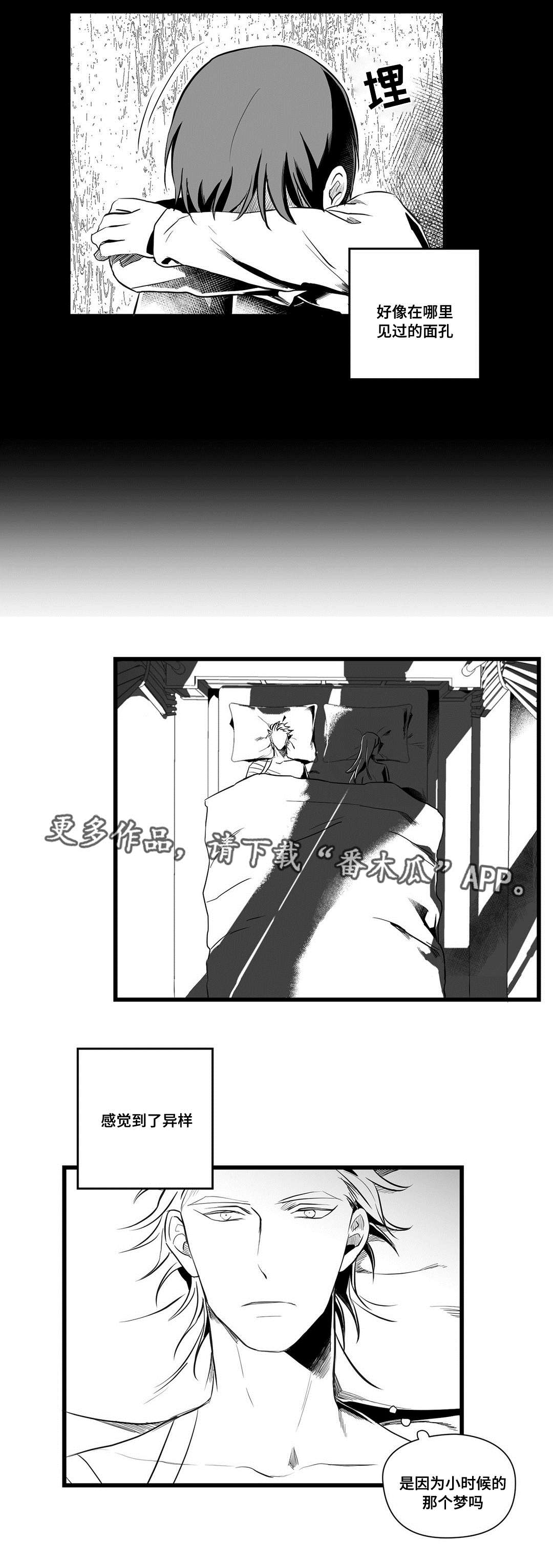 《巫师与王子》漫画最新章节第36章隐瞒着什么免费下拉式在线观看章节第【19】张图片