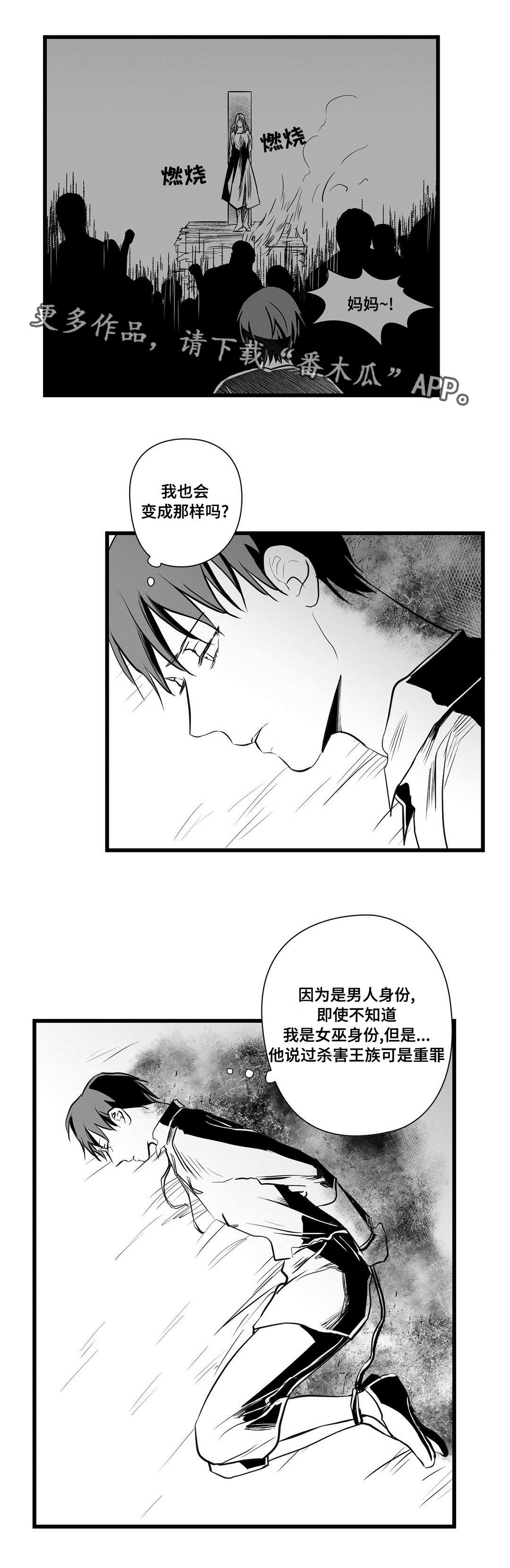 《巫师与王子》漫画最新章节第29章抛弃免费下拉式在线观看章节第【10】张图片