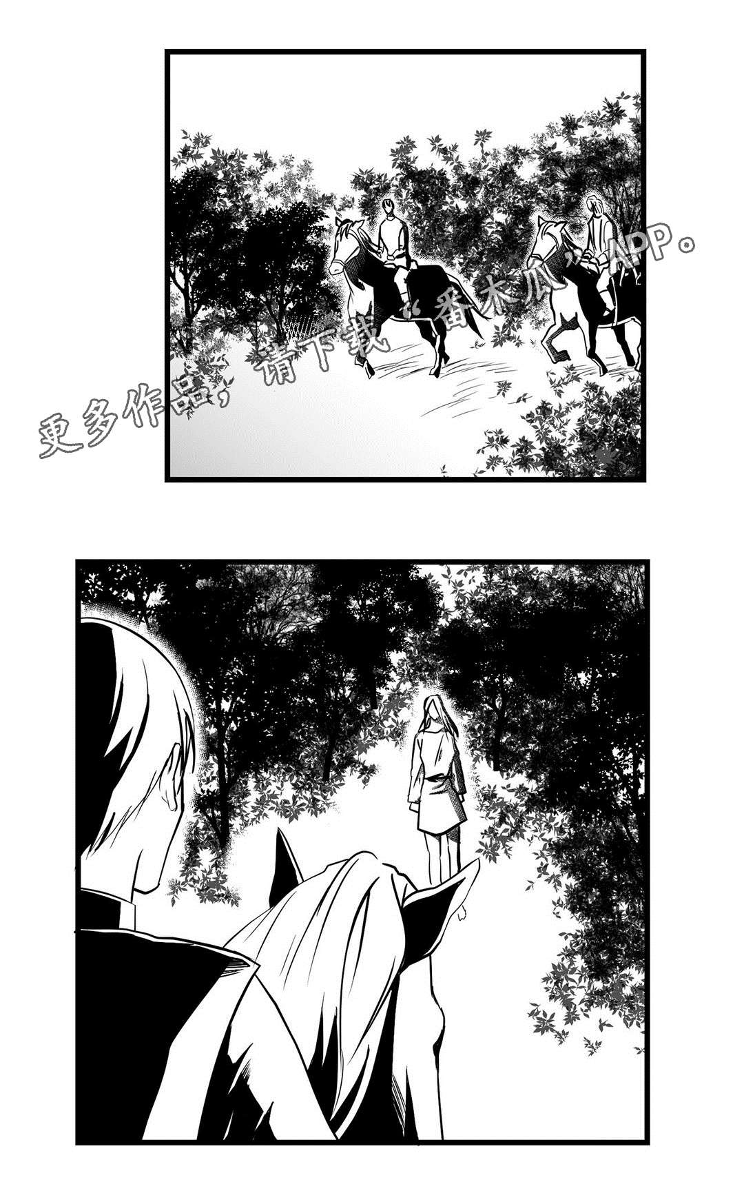 《巫师与王子》漫画最新章节第24章诡异免费下拉式在线观看章节第【13】张图片