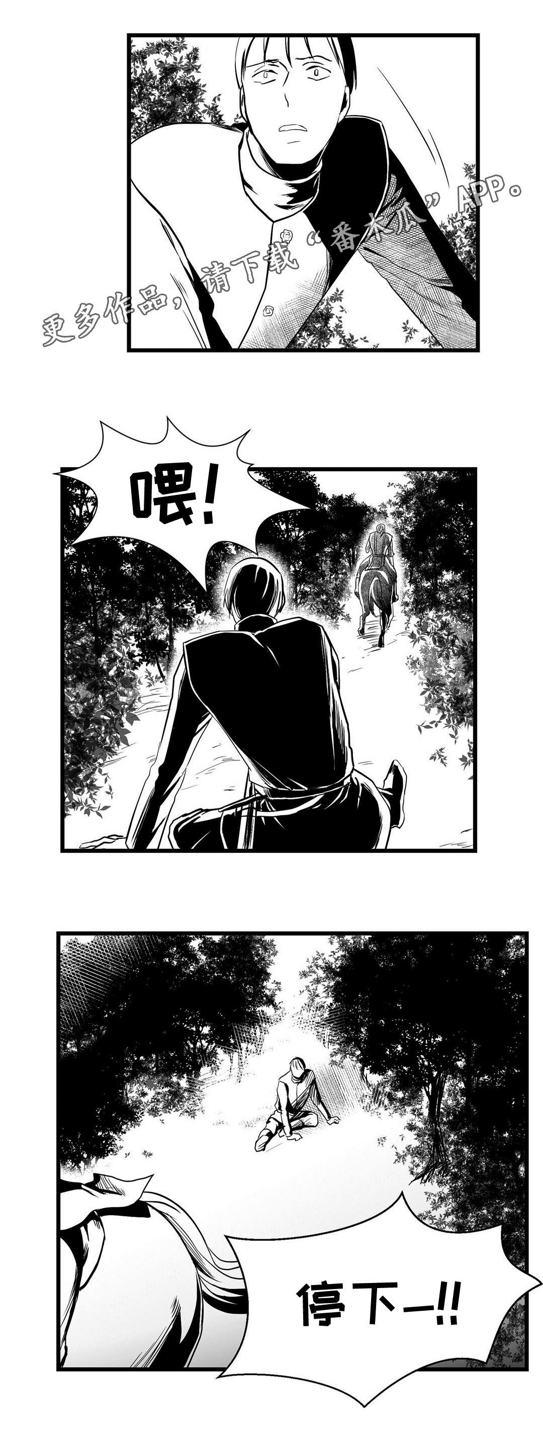 《巫师与王子》漫画最新章节第24章诡异免费下拉式在线观看章节第【10】张图片