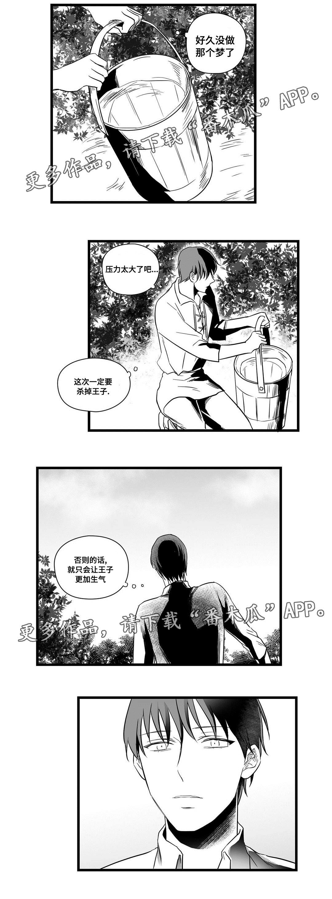 《巫师与王子》漫画最新章节第16章分神免费下拉式在线观看章节第【4】张图片