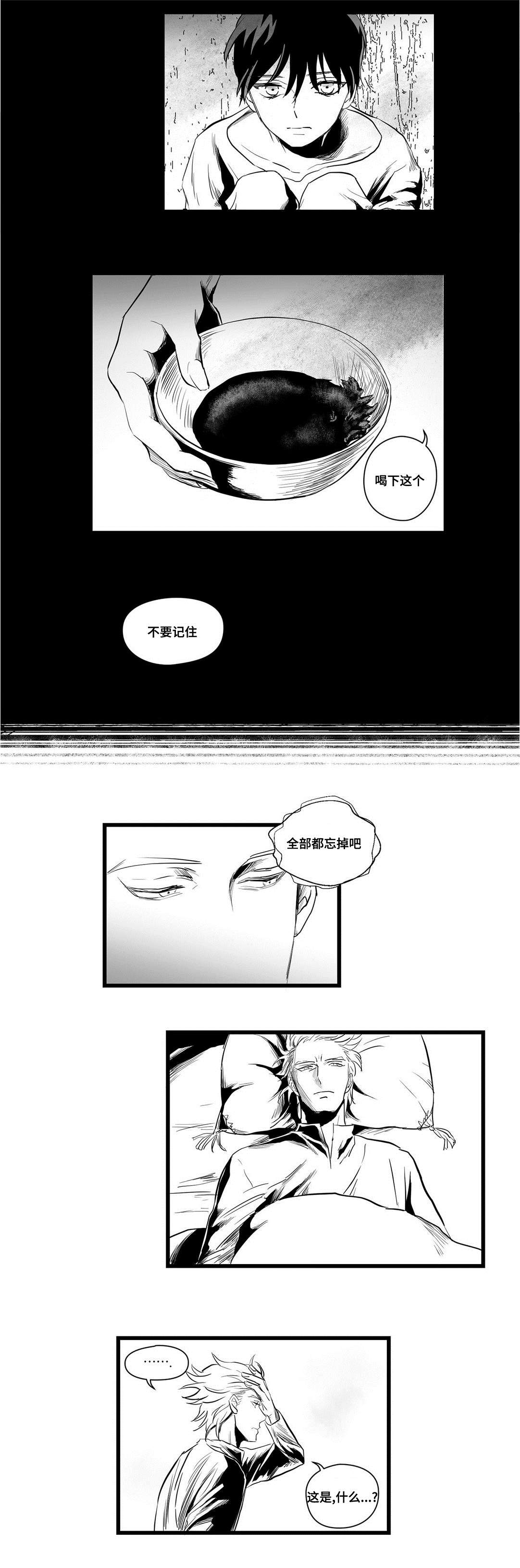 《巫师与王子》漫画最新章节第4章记忆免费下拉式在线观看章节第【9】张图片