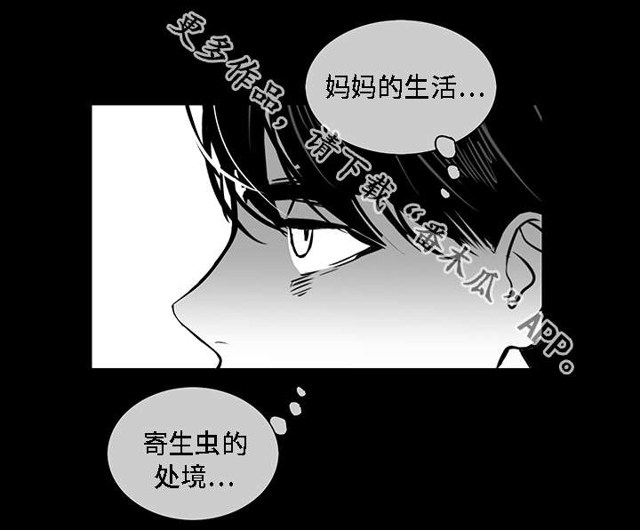 《同命相怜》漫画最新章节第17章秘闻免费下拉式在线观看章节第【5】张图片