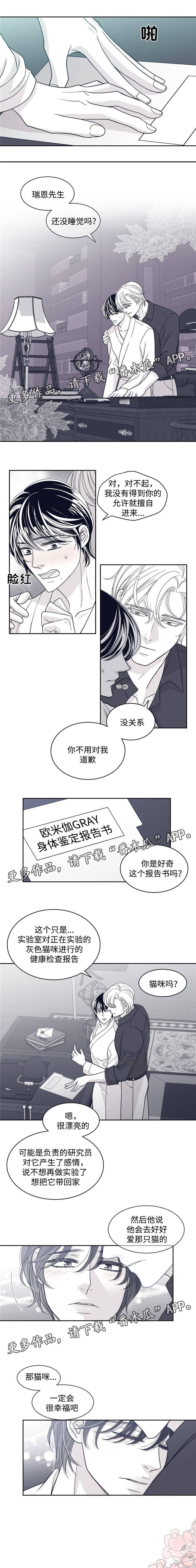 《青年瑞恩》漫画最新章节第56章触手可及的秘密免费下拉式在线观看章节第【3】张图片