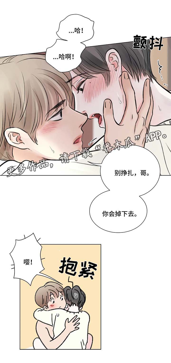 《接纳者》漫画最新章节第75章番外某个秋日2（1）免费下拉式在线观看章节第【15】张图片